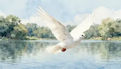 Прости за недоразумение 🕊️